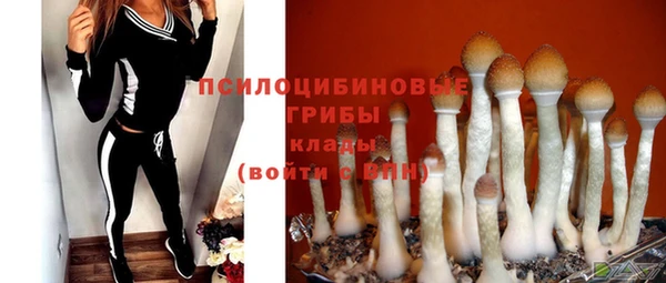 мескалин Бронницы