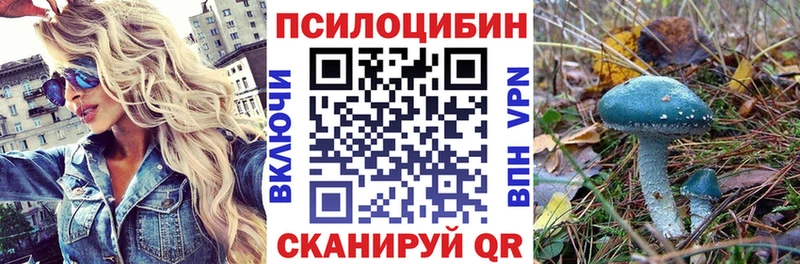 Галлюциногенные грибы ЛСД  даркнет сайт  Мончегорск 